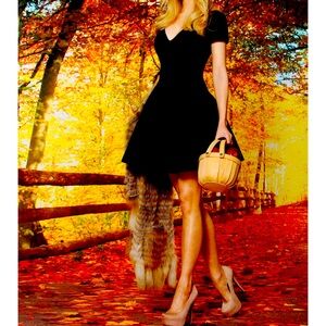 FOCUS by SHANI - Fit and Flare Novelty Honeycomb Dress Dress US 12